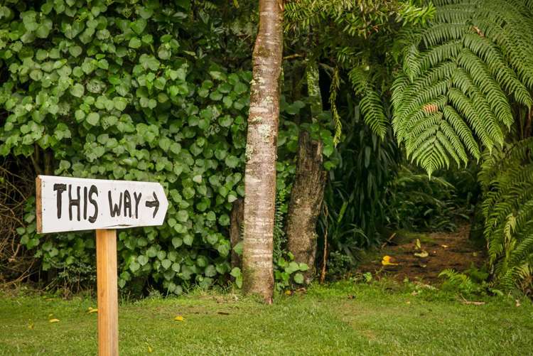 257 Willoughby Road Katikati_18