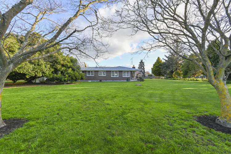 1223 Jellicoe Street Mayfair_14