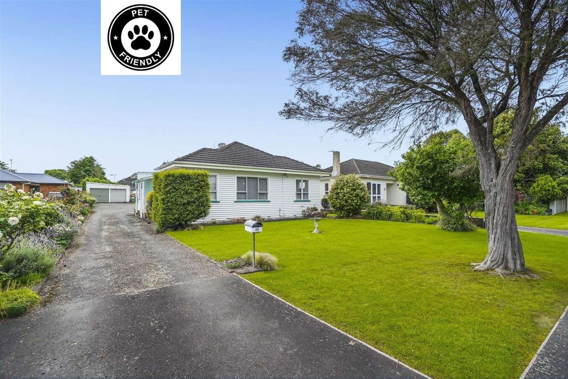 46 Haultain Street 10458_0