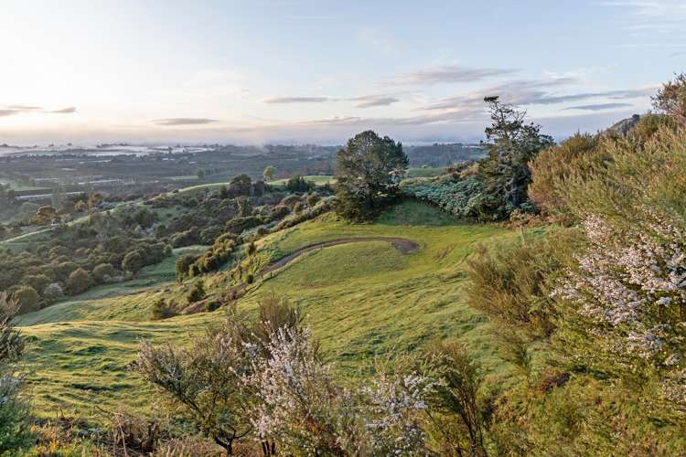 59B Hikurangi Road Katikati_3