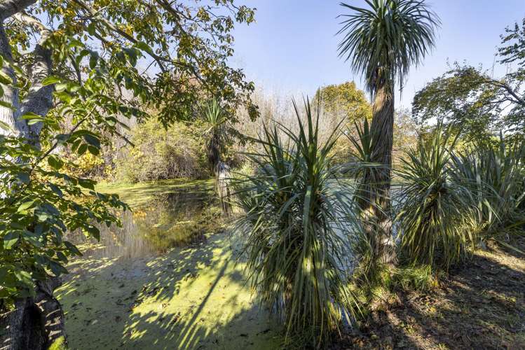 28D Meehan Street Blenheim_16