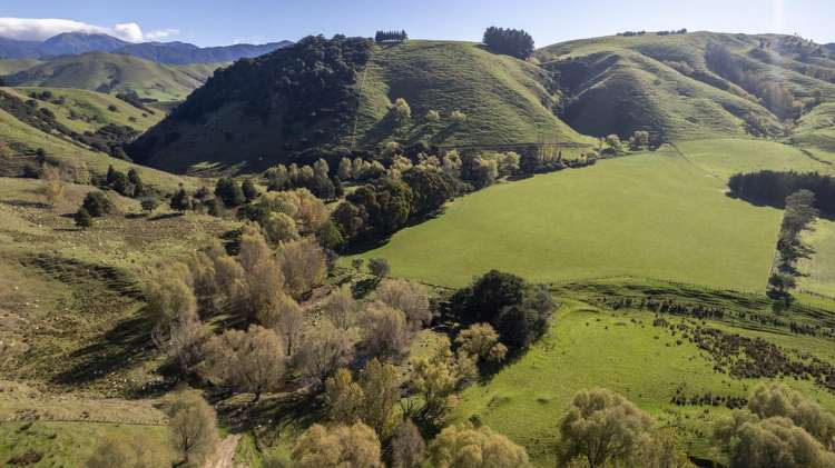 72 Te Hau Road Masterton_11