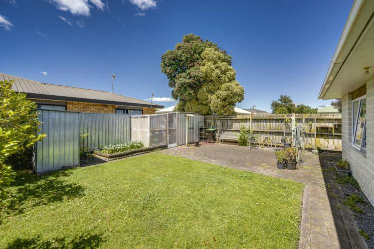 173 Avondale Road Greenmeadows_15