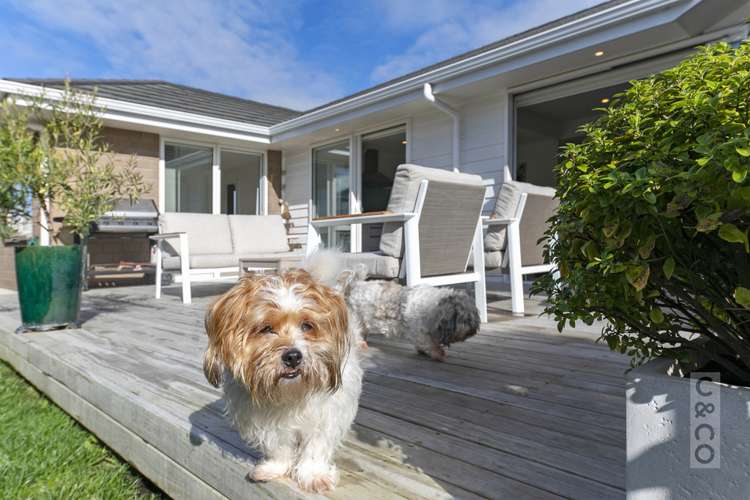 5 Walnut Road Riverhead_9