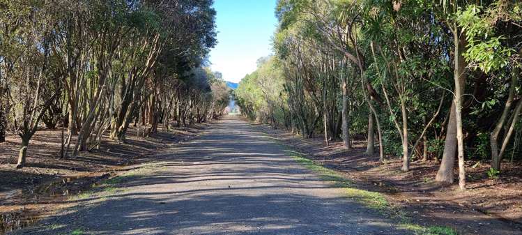 44 Vance Street Shannon_1