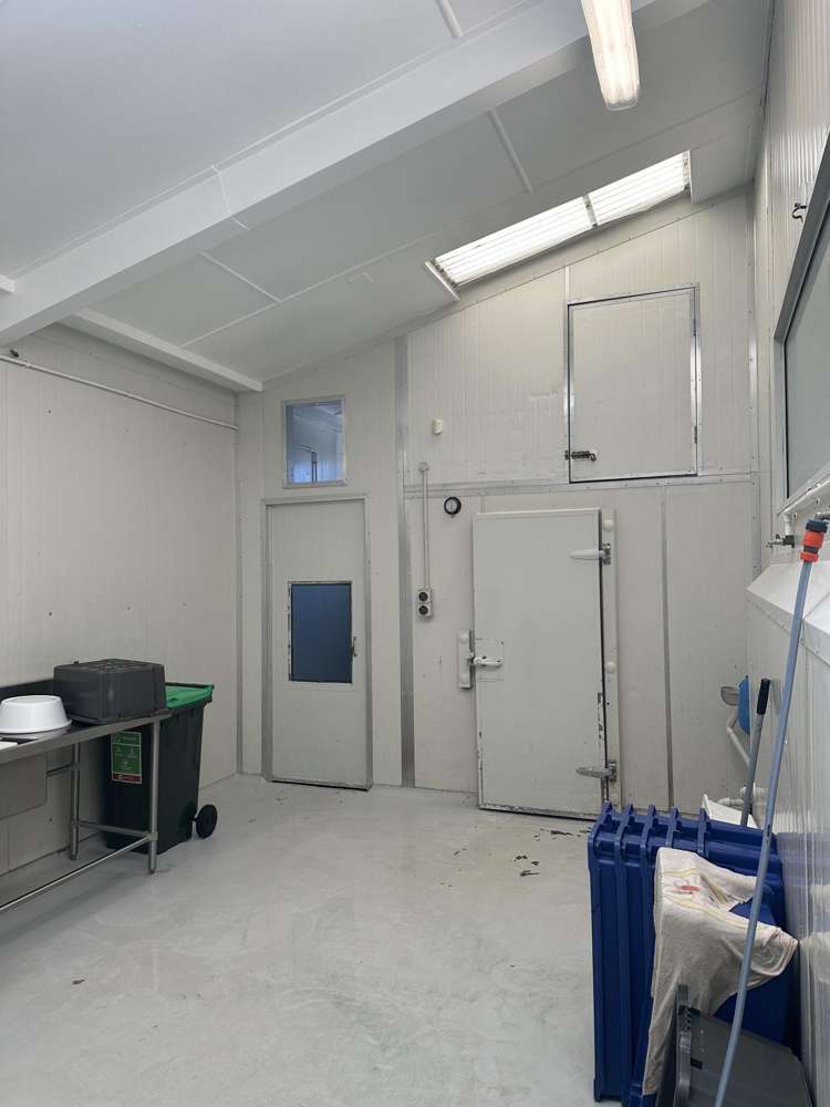 68 Kingsley Street Sydenham_3