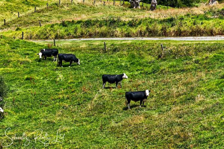 218 State Highway 12 Maungaturoto_55