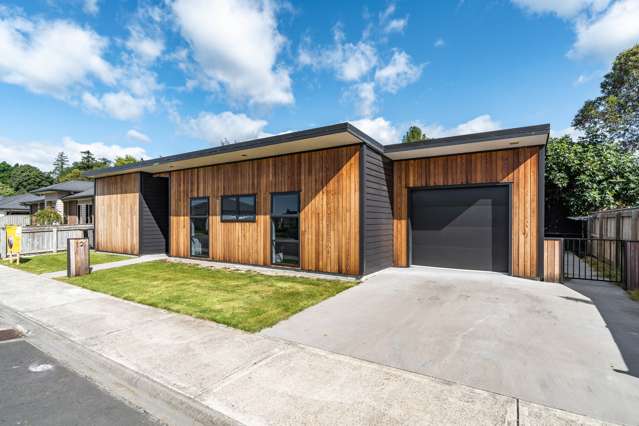 12 John McDonald Mews Masterton_1