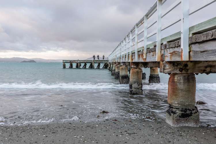 83 Marine Parade Seatoun_19