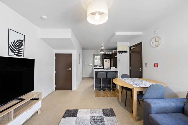 8p Finlay Terrace Mount Cook_4