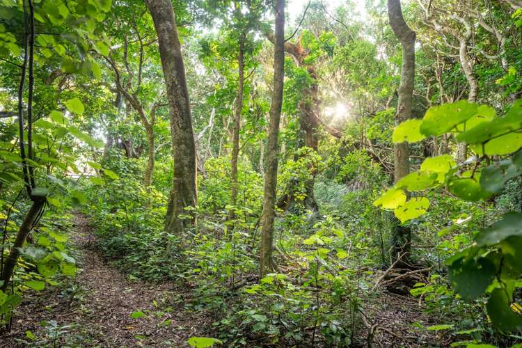 5-7 Kohekohe Road Waikanae_59