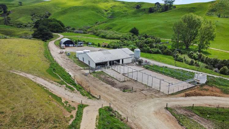 258 Paratu West Road Richmond Downs_6