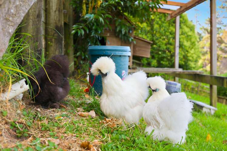 22 Windfall Grove Greenhithe_20