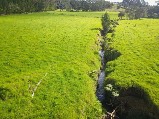 Larmer Road Kaitaia_3