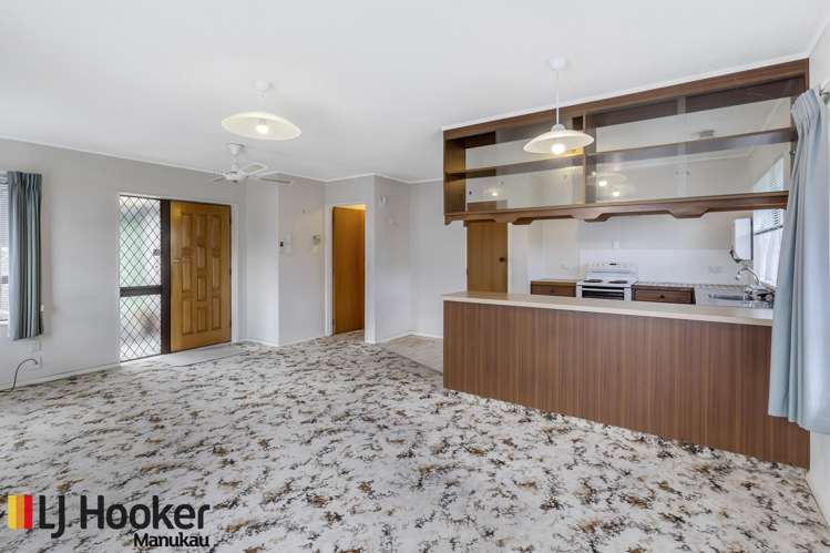 221b Queen Street Pukekohe_9