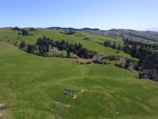 770 Owhiro Road Otorohanga_1