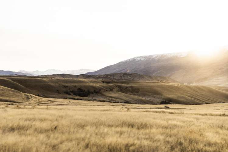 - Cardrona Valley Road The Soho - Pioneer_18