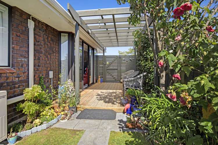 45a Belvedere Avenue Waikanae_3