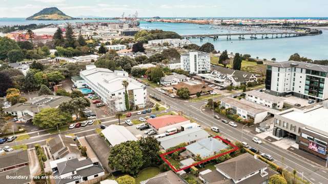 21 Willow Street Tauranga Central_1