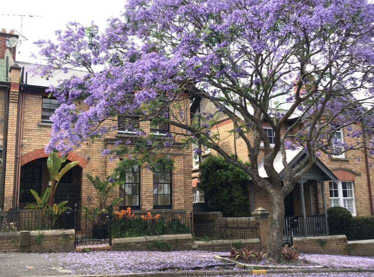 12 Cracroft Street Parnell_17