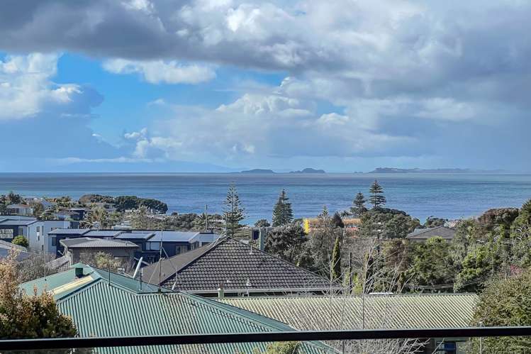 47c Hastings Road Mairangi Bay_9