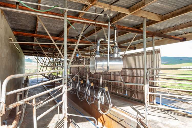 376 Starkey Road Morrinsville_5