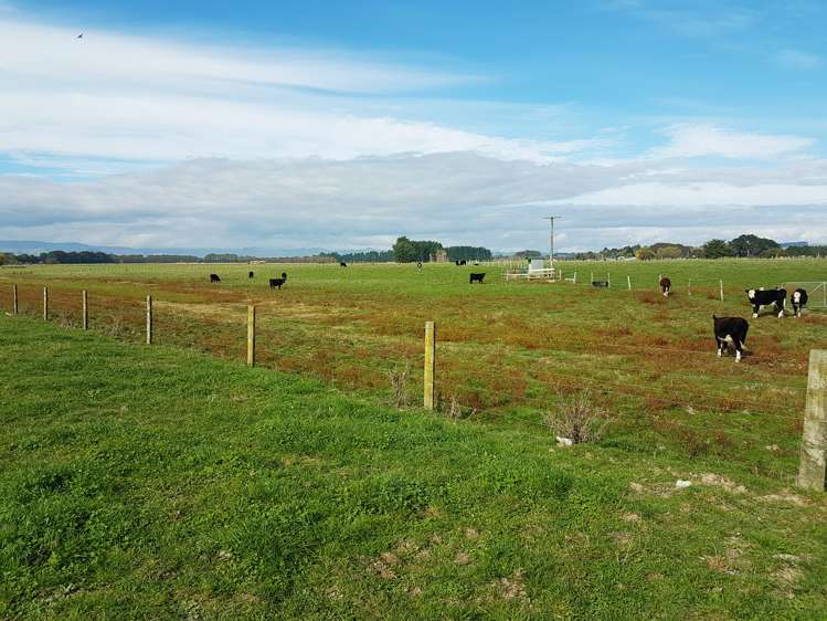 221 Troup Road Woodville_8