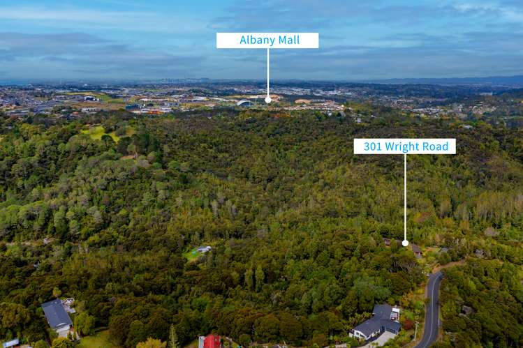 301 Wright Road Dairy Flat_17