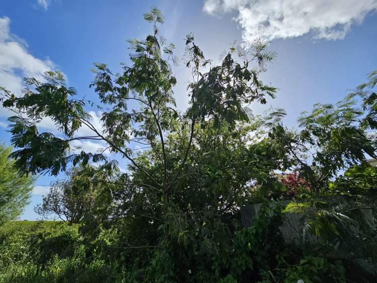 55 Nelson Quay Cobden_19