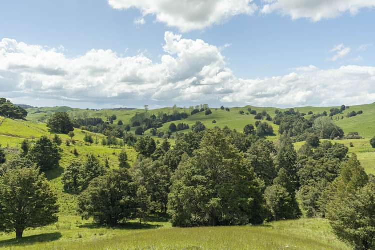 864 Otuhi Road Mangapai and Surrounds_45