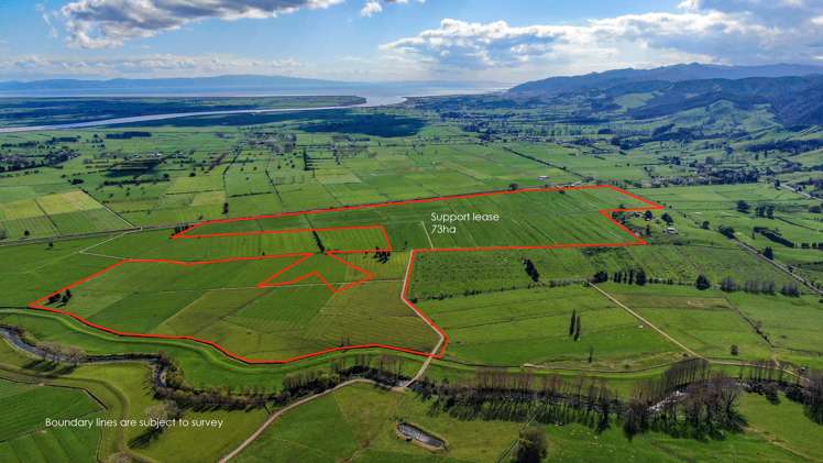 81 Station Road Puriri_13