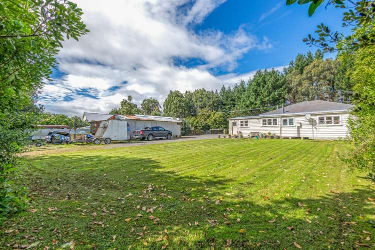 25 Nathan Terrace Shannon_11