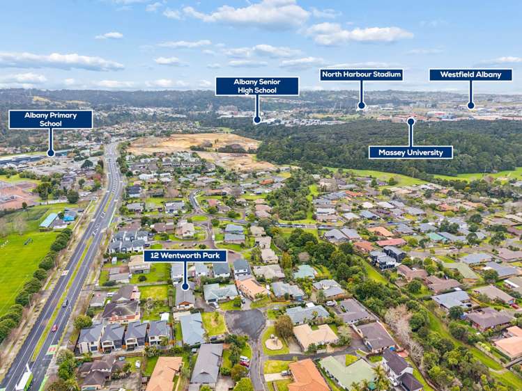 12 Wentworth Park Albany_28