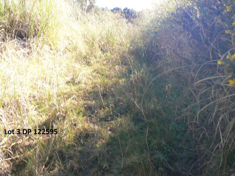 Lot 2/3 Duddy Road Kaikohe Rd1_4