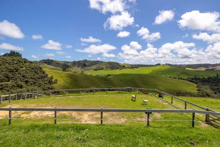 138a Webber Road South Head_20