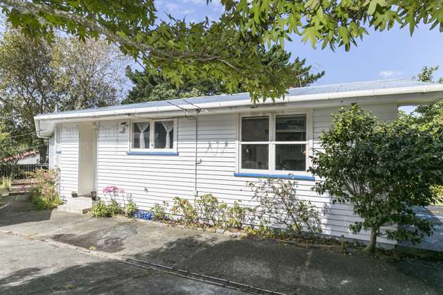 38 Davidson Crescent Tawa_1