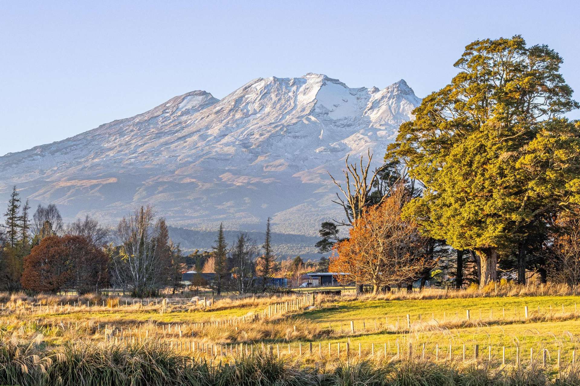 37A Marino Street Rangataua_0