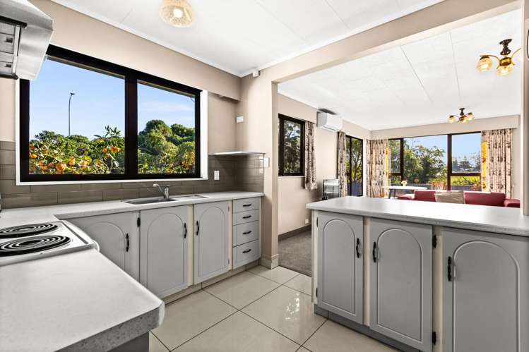 29 Domain Road_3