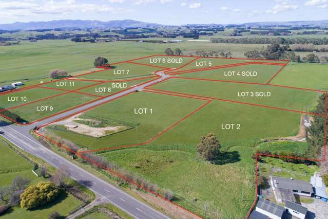 408 - 10 Taonui Road Colyton_2