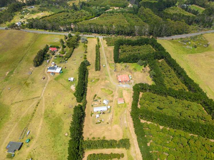 5126 State Highway One Ngataki_6