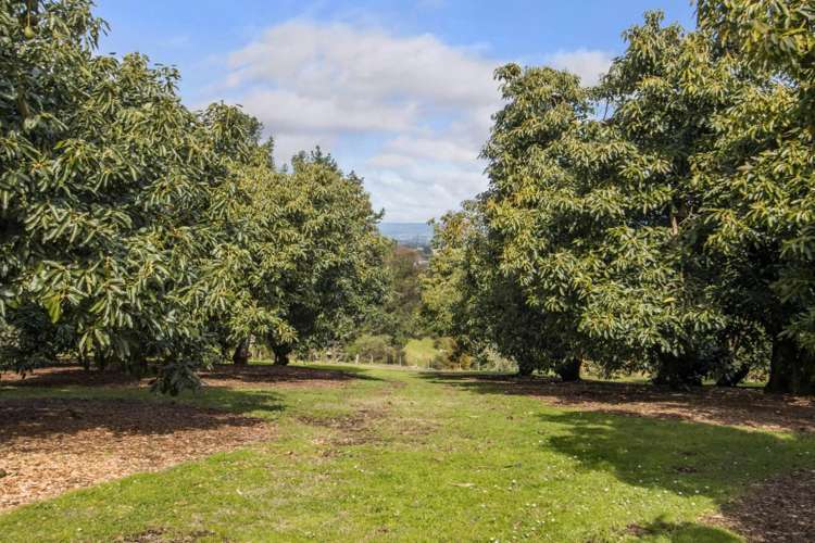 123 Woodland Road Katikati_27