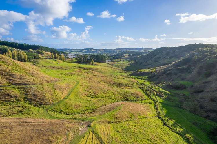 Kawhia Road (SH 31) Kawhia_16