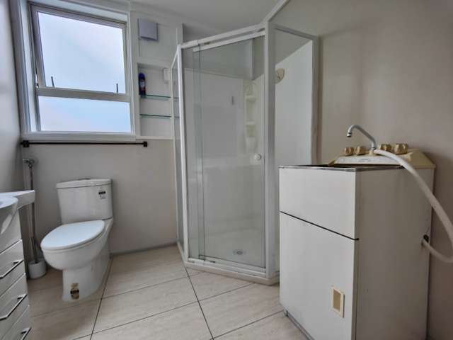 2/85 Owairaka Ave 1727_4