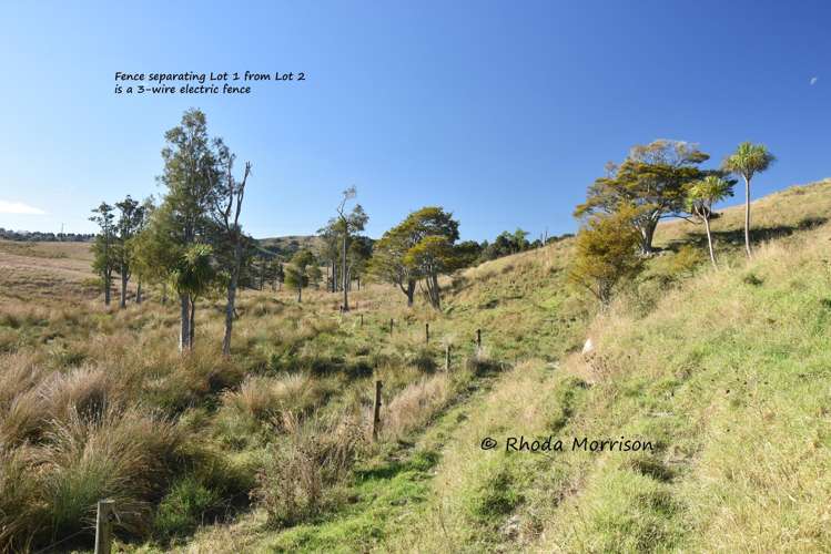 Golden Stairs Rd Maungaturoto_14