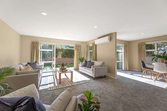 100a Alfred Street Blenheim Central_2