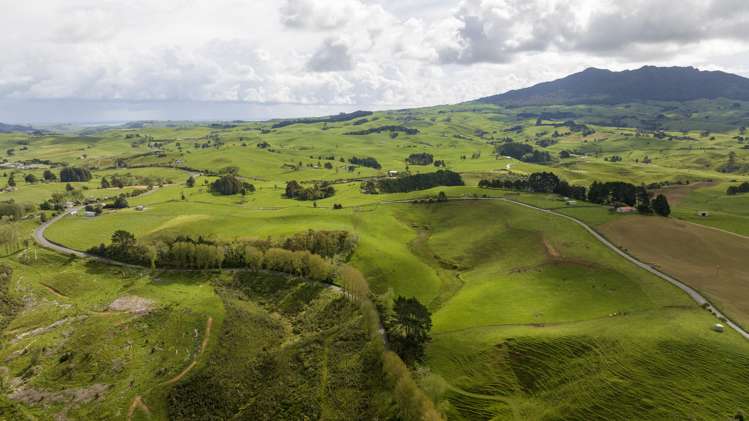 697 Maungatawhiri Road Raglan_9