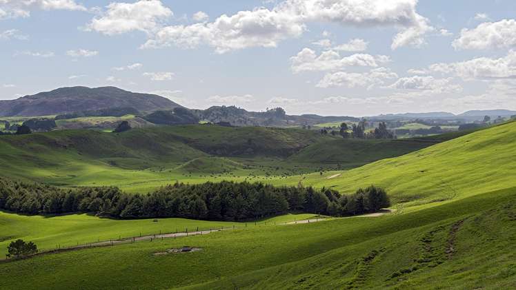 913 Whirinaki Valley Road Ngakuru_14