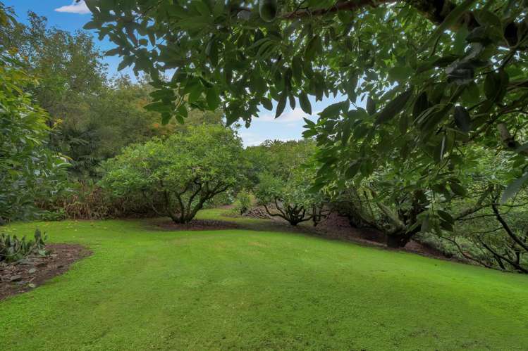 14 Tupelo Place Ohauiti_50