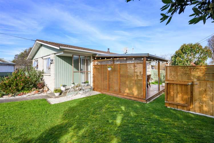 21 Flower Street Bulls_23