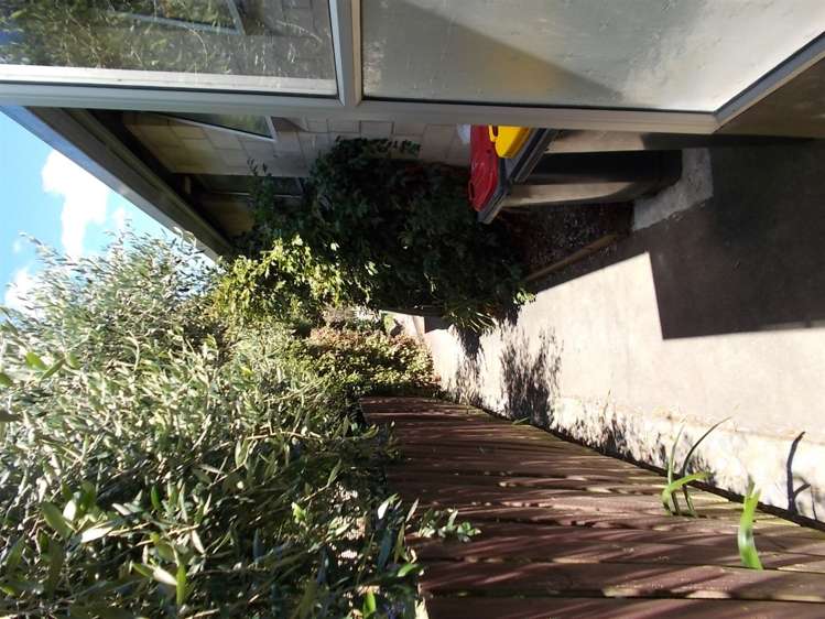 56 Harris Street Pleasant Point_38